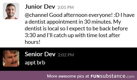 seniorDevPerks