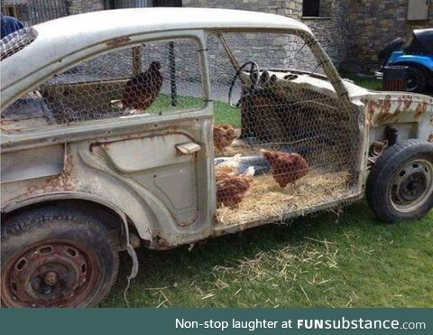 Chicken coupe