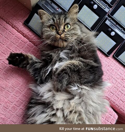 Mr Green just woke up