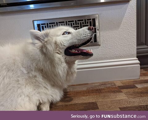 Finding the AC on a hot day
