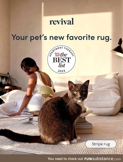 With our pet-friendly washable rugs, style meets convenience for a home that loves pets
