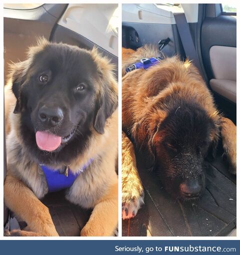 Before and after a day at the beach. (OC)