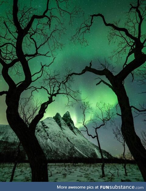Mesmerizing Northern Lights in Norway