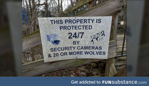 The best security system
