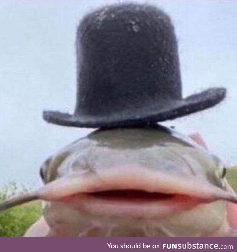 Feesh