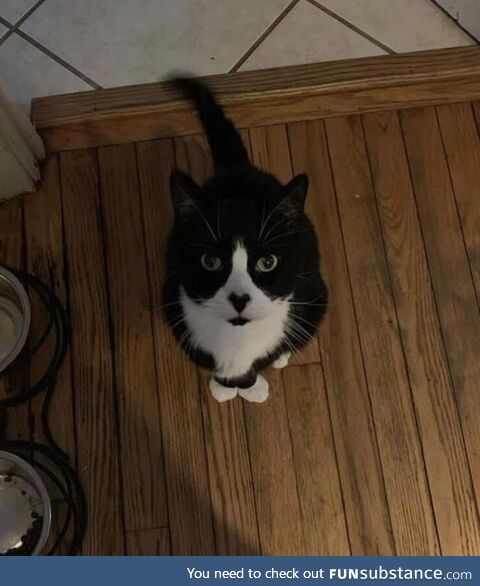 Picasso had a heart shaped nose… (OC)