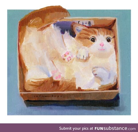 Cat in a Box (Oil paint)