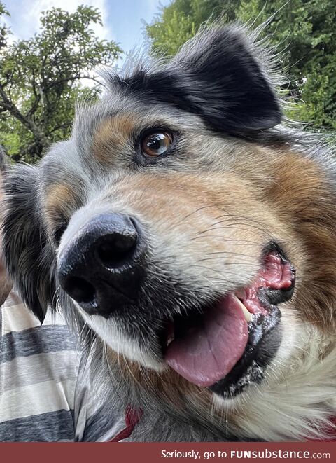 [OC] Such a good boy!