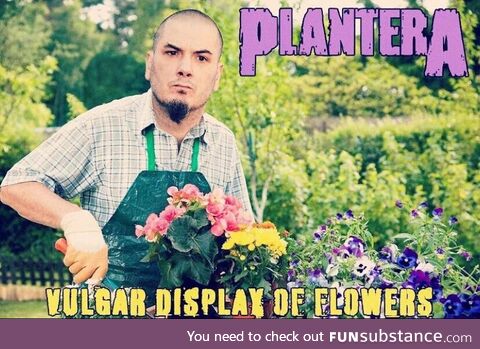 Plantero