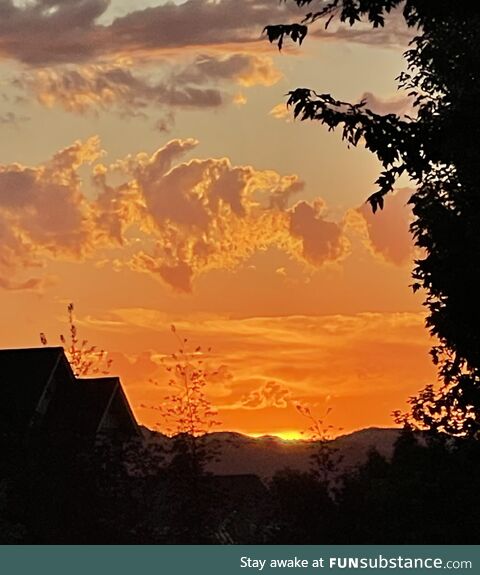 Evening colors (oc)