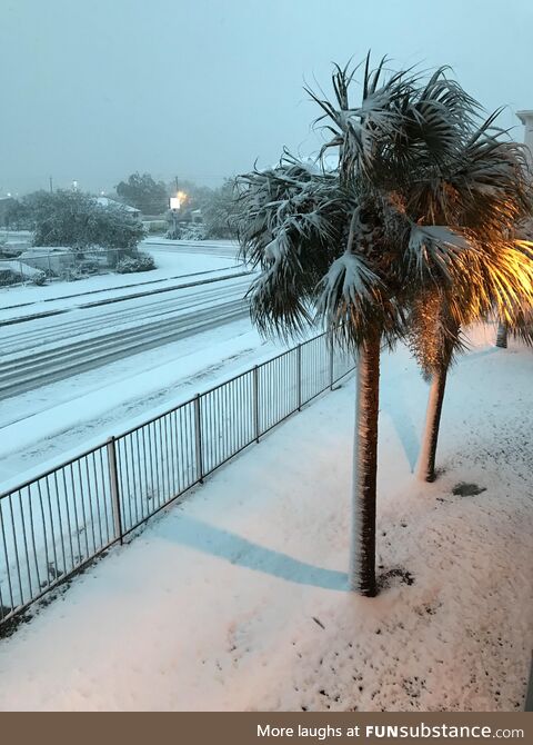Snow day by the beach