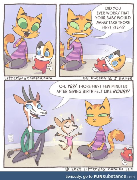 First steps [oc]