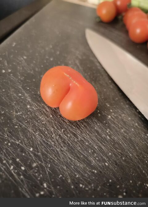 This tomato is pretty thick