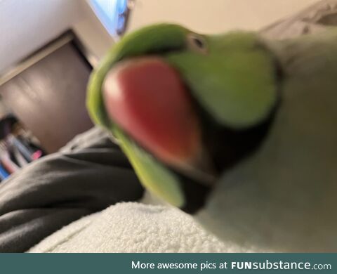 This person has attempted to unlock your phone