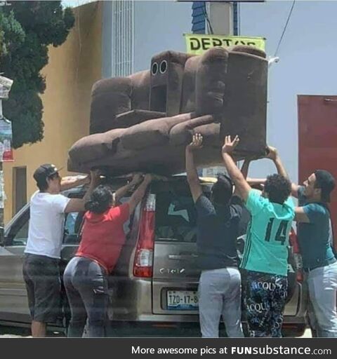 The couch is not excited by this idea