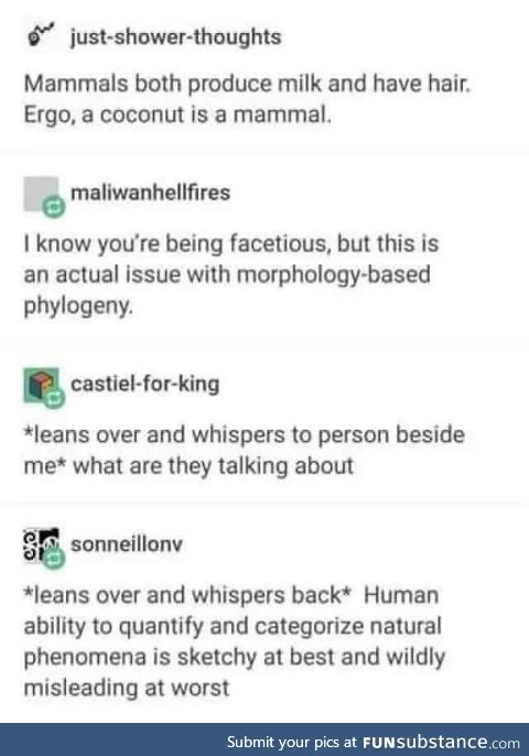 Bruh