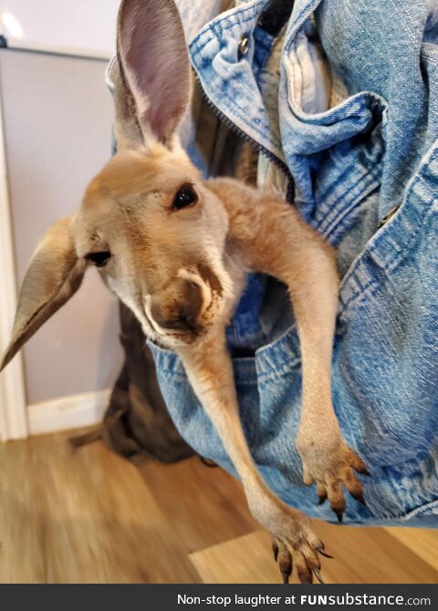 Just hanging out