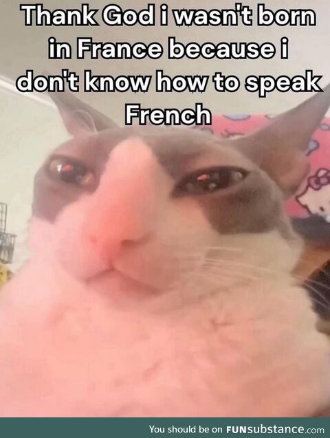 Je suis