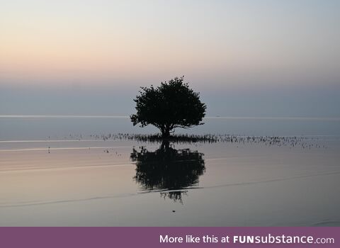 Calm sea, shot taken using Nikon Z30 and Nikkor Z 24-70mm f/4