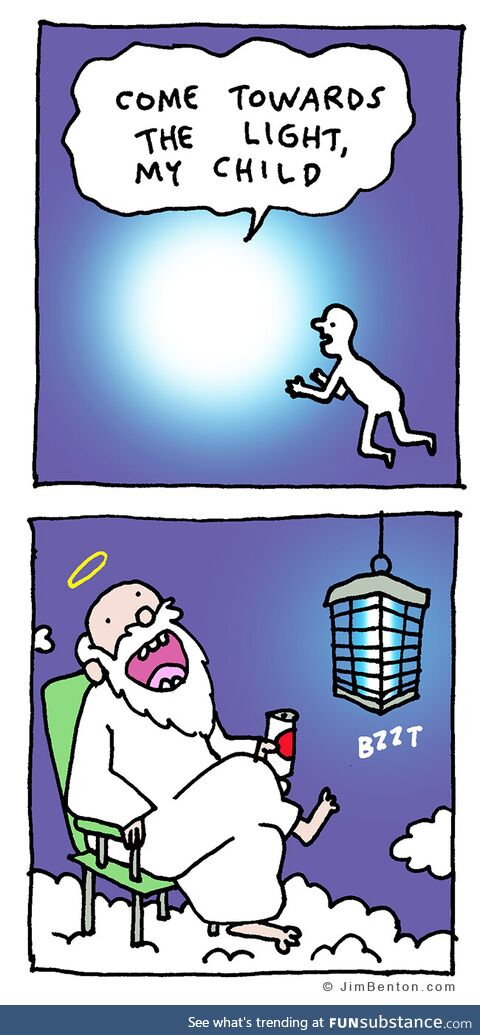 The light