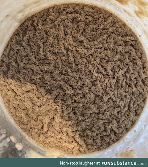 Yeast growth
