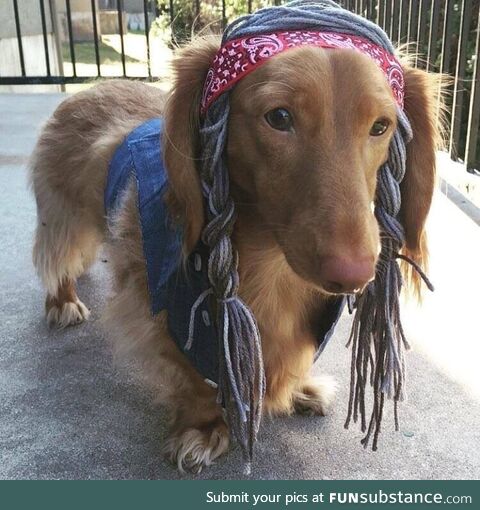 Ready for Halloween!