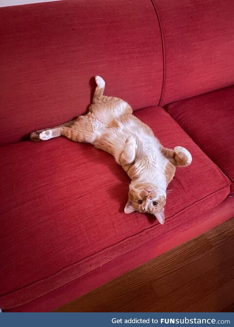 Winston