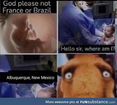 He better call Saul
