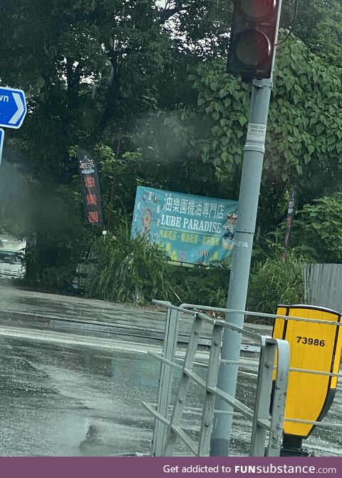 The question is should I go there or not?
