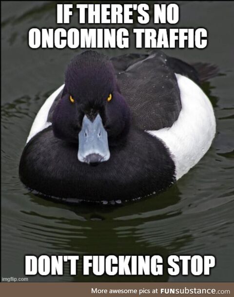 A yield sign is not a f*cking stop sign