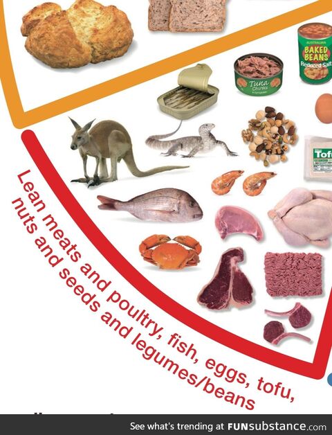 Aussie healthy eating chart has kangaroo and goanna (monitor lizard) on it