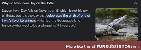 Happy steve irwin day!