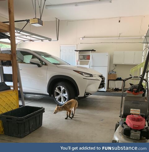 Ma's selling her car ... This sly guy stopped by to check it out