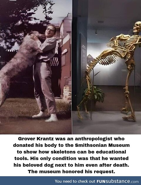 Male knowing sweeping