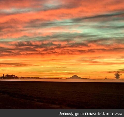 [oc] gorgeous oregon sunrise