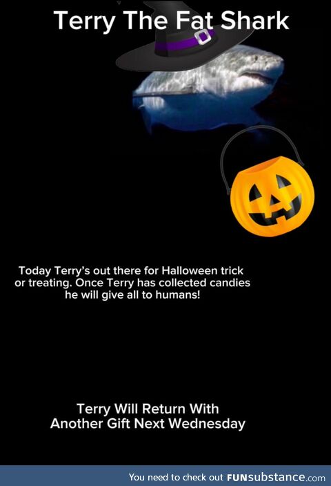 Spookposting '25 #16 - Trick or Terry