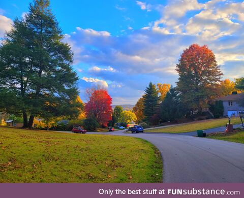 Just moved to indiana. So colorful here!