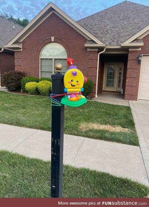Friends mom ran over their mailbox and this was the replacement until they get it fixed