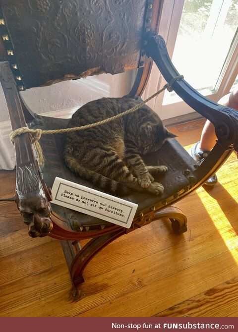At the Hemingway Home in Key West ‘only the cats are allowed to ruin the history’