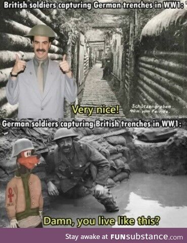 Tranquil besieged pale