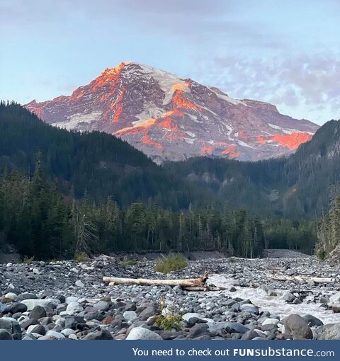 Mount Rainier under golden hour light