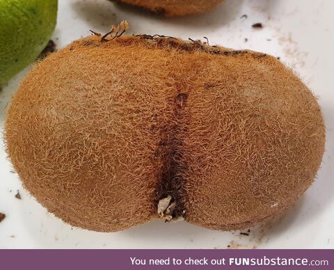 For some reason nobody in the office wants this kiwi fruit
