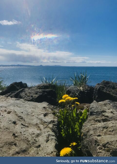 [OC] Iceland was nice today