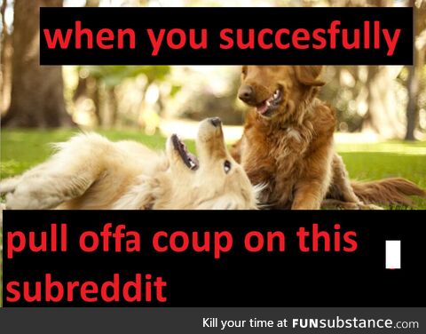 The cia did it first, u/legweed