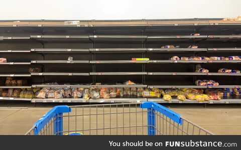 Back to school in Canada. Apparently kids don't like multigrain