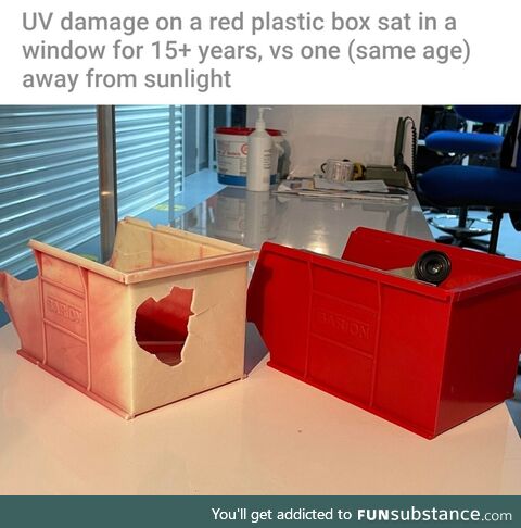 Perceptual Jellyfish