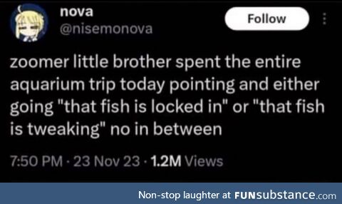 Veritable scrolled abundant