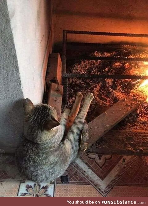 He just need some heat