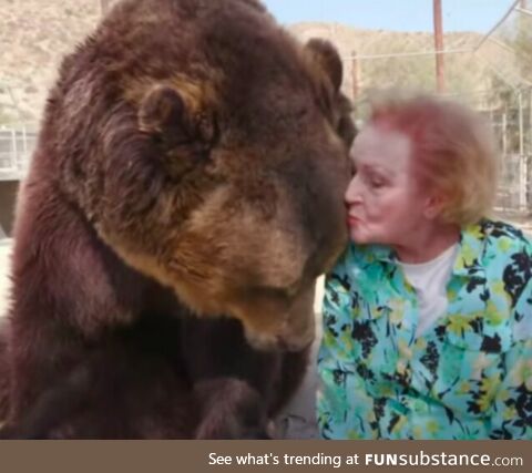 Here's 99 year old Betty White giving a giant grizzly a kiss