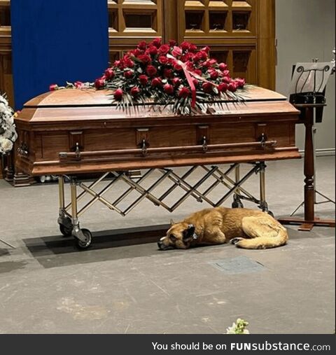 Singer-Songwriter Gordon Lightfoot's dog Taurus beside him to the very end